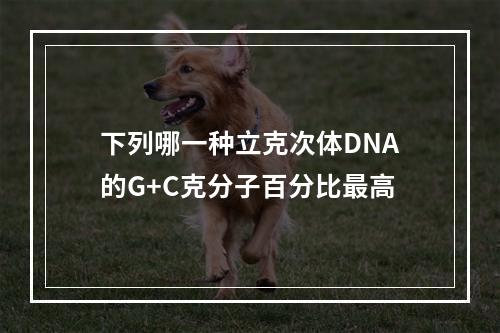 下列哪一种立克次体DNA的G+C克分子百分比最高