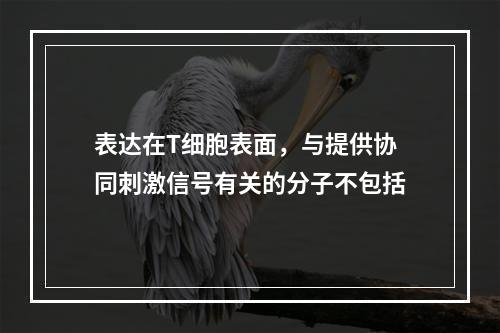 表达在T细胞表面，与提供协同刺激信号有关的分子不包括