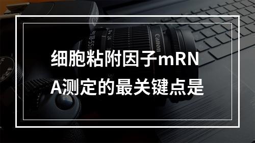 细胞粘附因子mRNA测定的最关键点是