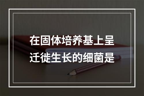 在固体培养基上呈迁徙生长的细菌是