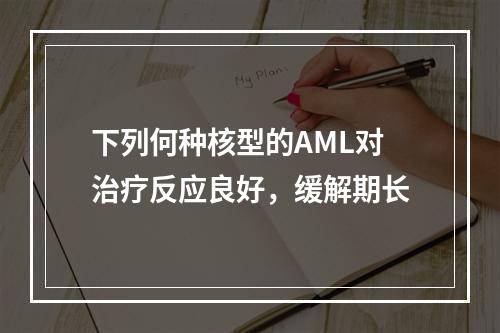 下列何种核型的AML对治疗反应良好，缓解期长