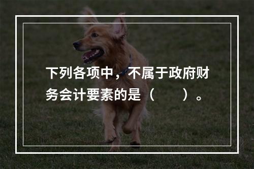 下列各项中，不属于政府财务会计要素的是（　　）。