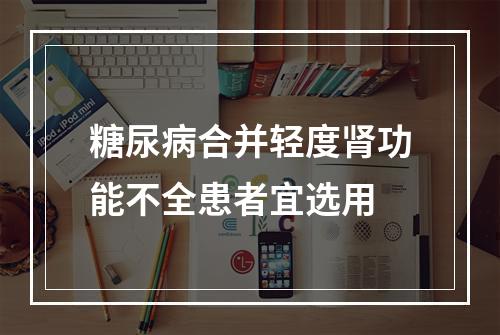 糖尿病合并轻度肾功能不全患者宜选用