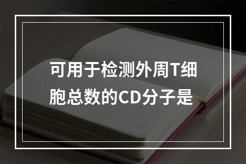 可用于检测外周T细胞总数的CD分子是