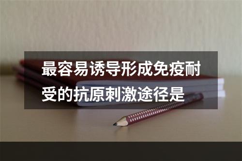 最容易诱导形成免疫耐受的抗原刺激途径是