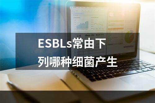 ESBLs常由下列哪种细菌产生