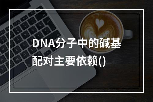 DNA分子中的碱基配对主要依赖()