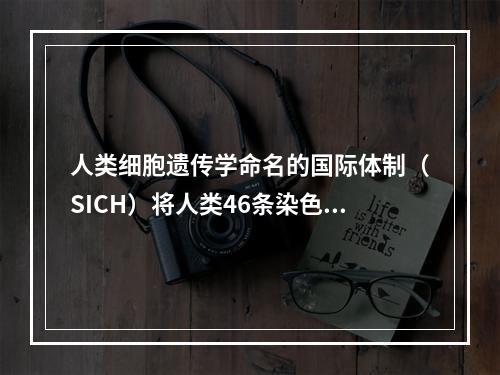 人类细胞遗传学命名的国际体制（SICH）将人类46条染色体编