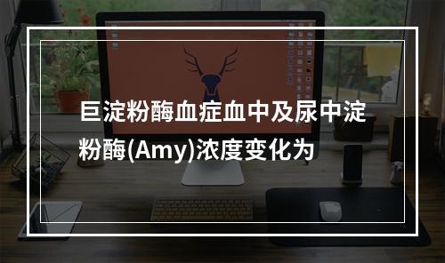 巨淀粉酶血症血中及尿中淀粉酶(Amy)浓度变化为