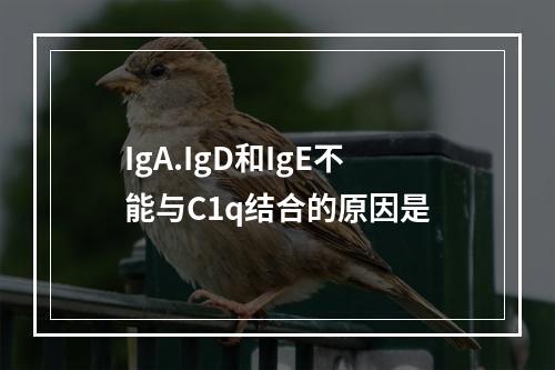 IgA.IgD和IgE不能与C1q结合的原因是