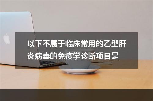 以下不属于临床常用的乙型肝炎病毒的免疫学诊断项目是