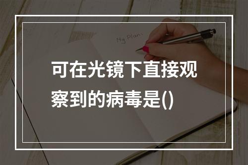 可在光镜下直接观察到的病毒是()