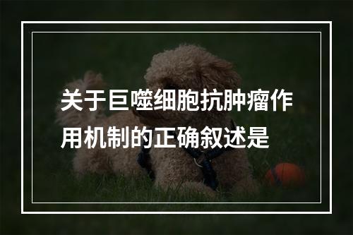 关于巨噬细胞抗肿瘤作用机制的正确叙述是