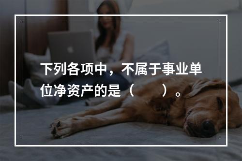 下列各项中，不属于事业单位净资产的是（　　）。