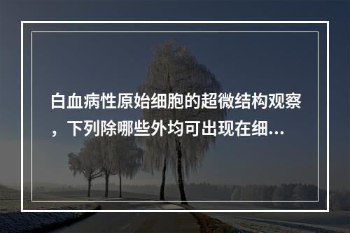 白血病性原始细胞的超微结构观察，下列除哪些外均可出现在细胞核