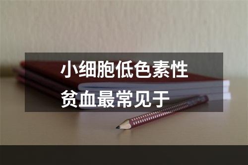 小细胞低色素性贫血最常见于