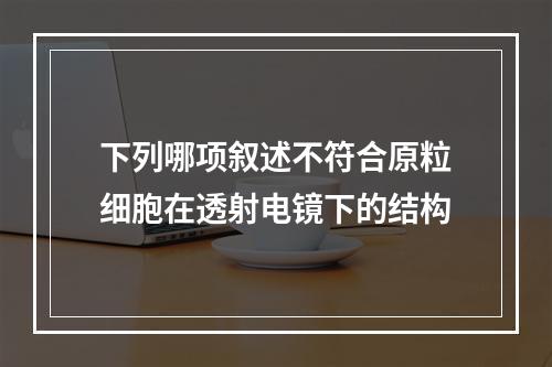 下列哪项叙述不符合原粒细胞在透射电镜下的结构