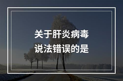 关于肝炎病毒说法错误的是