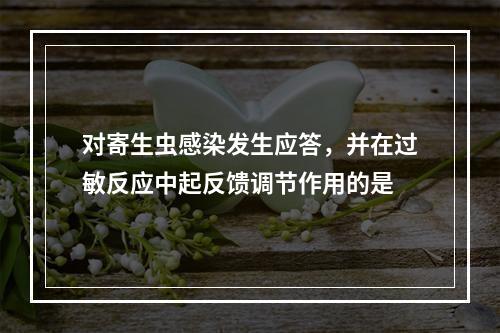 对寄生虫感染发生应答，并在过敏反应中起反馈调节作用的是