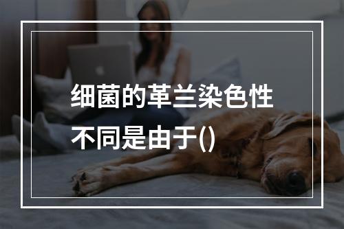 细菌的革兰染色性不同是由于()