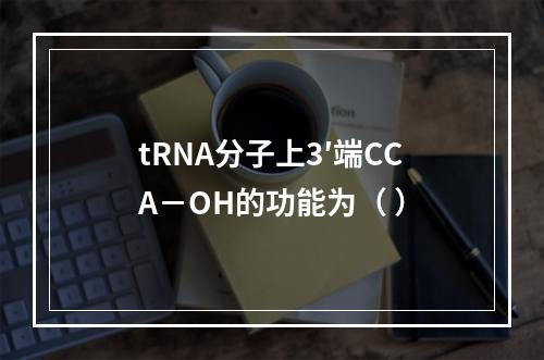 tRNA分子上3′端CCΑ－OH的功能为（ ）