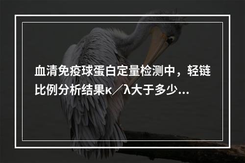 血清免疫球蛋白定量检测中，轻链比例分析结果κ／λ大于多少时，