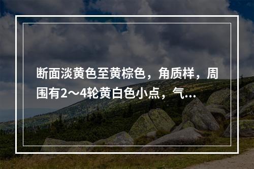 断面淡黄色至黄棕色，角质样，周围有2～4轮黄白色小点，气微，