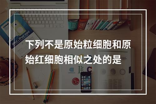 下列不是原始粒细胞和原始红细胞相似之处的是