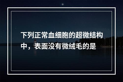 下列正常血细胞的超微结构中，表面没有微绒毛的是