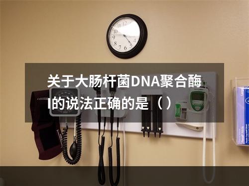 关于大肠杆菌DNA聚合酶I的说法正确的是（ ）