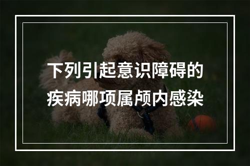 下列引起意识障碍的疾病哪项属颅内感染