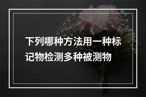 下列哪种方法用一种标记物检测多种被测物