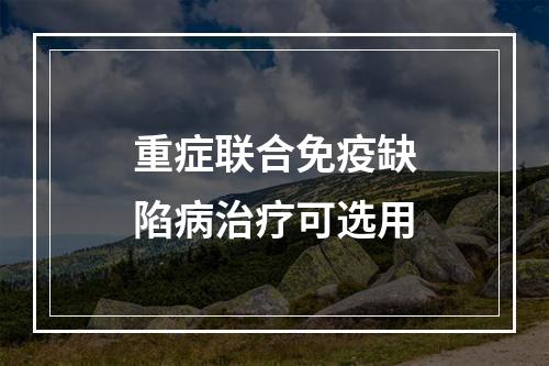 重症联合免疫缺陷病治疗可选用