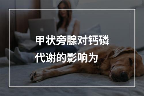 甲状旁腺对钙磷代谢的影响为