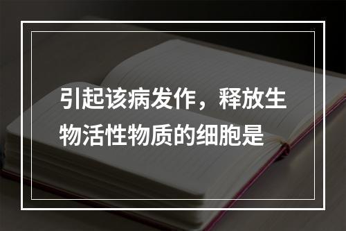 引起该病发作，释放生物活性物质的细胞是