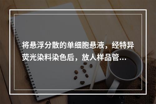 将悬浮分散的单细胞悬液，经特异荧光染料染色后，放人样品管，悬