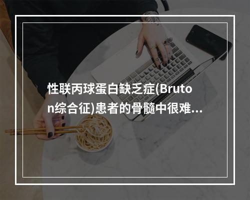 性联丙球蛋白缺乏症(Bruton综合征)患者的骨髓中很难找到