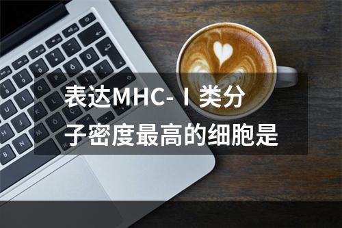 表达MHC-Ⅰ类分子密度最高的细胞是