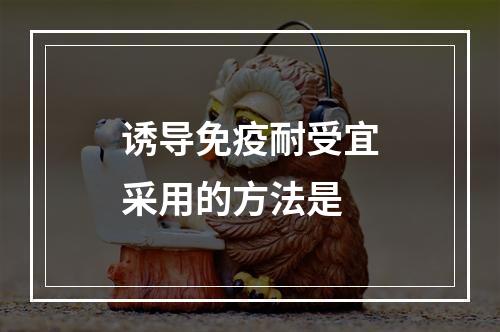 诱导免疫耐受宜采用的方法是