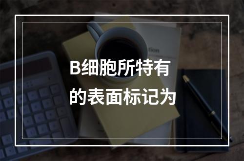 B细胞所特有的表面标记为