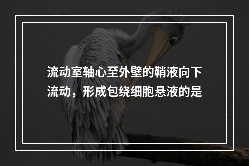 流动室轴心至外壁的鞘液向下流动，形成包绕细胞悬液的是