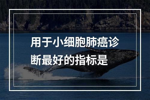 用于小细胞肺癌诊断最好的指标是