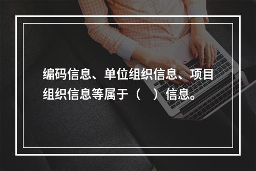 编码信息、单位组织信息、项目组织信息等属于（　）信息。