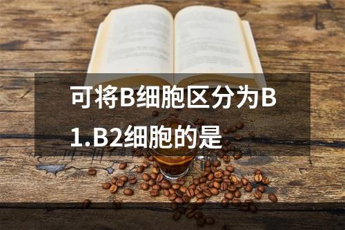 可将B细胞区分为B1.B2细胞的是