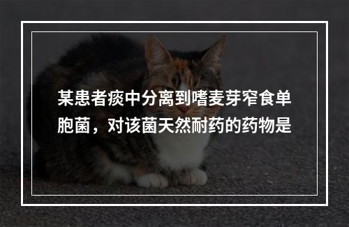 某患者痰中分离到嗜麦芽窄食单胞菌，对该菌天然耐药的药物是