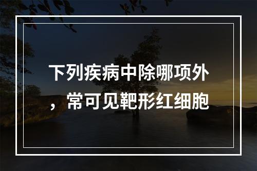 下列疾病中除哪项外，常可见靶形红细胞