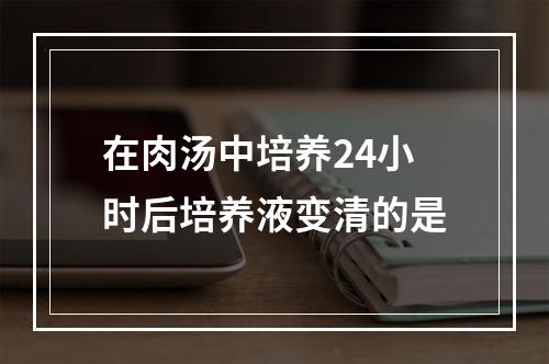 在肉汤中培养24小时后培养液变清的是