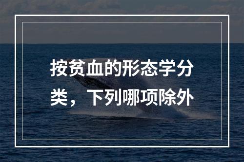 按贫血的形态学分类，下列哪项除外