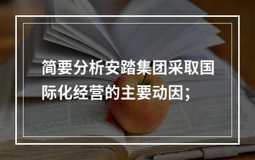 简要分析安踏集团采取国际化经营的主要动因；