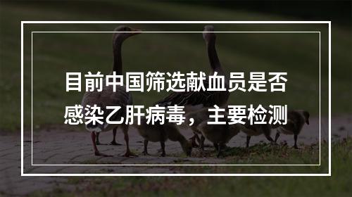 目前中国筛选献血员是否感染乙肝病毒，主要检测